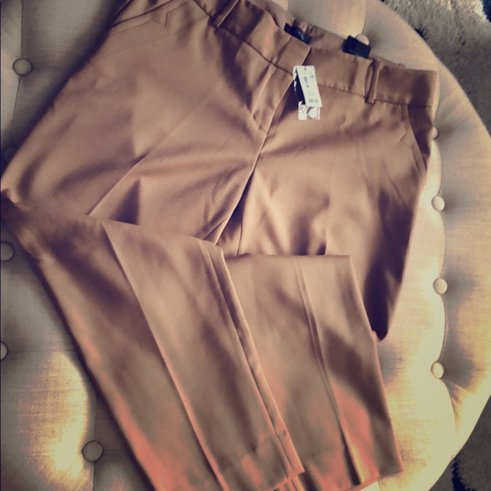 Dress pants